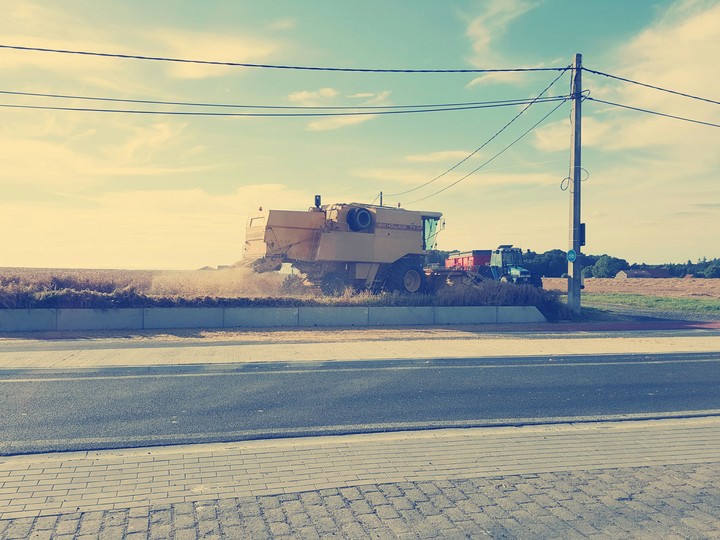 Farm