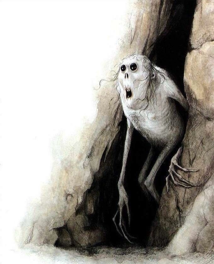 The hermit