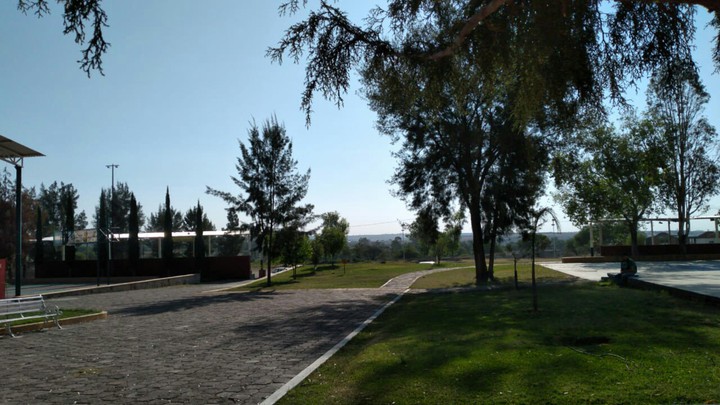 lindo