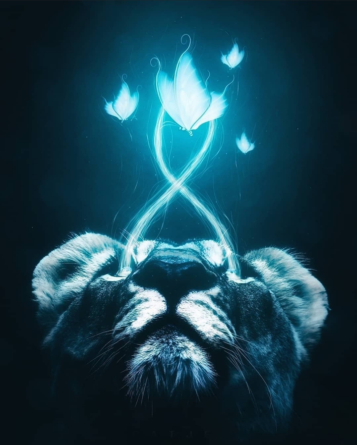 ¤••¤••¤