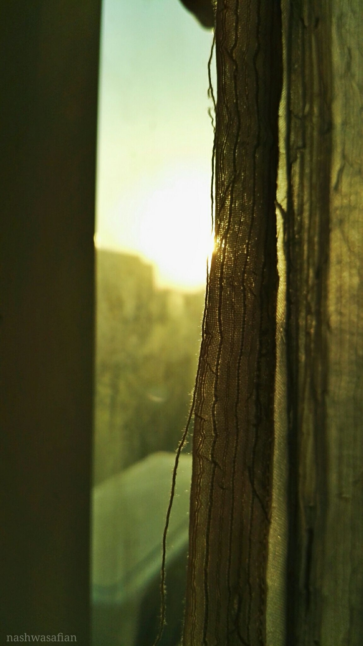 Hello Sunshine .