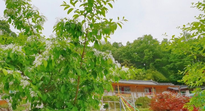 금화국사당
