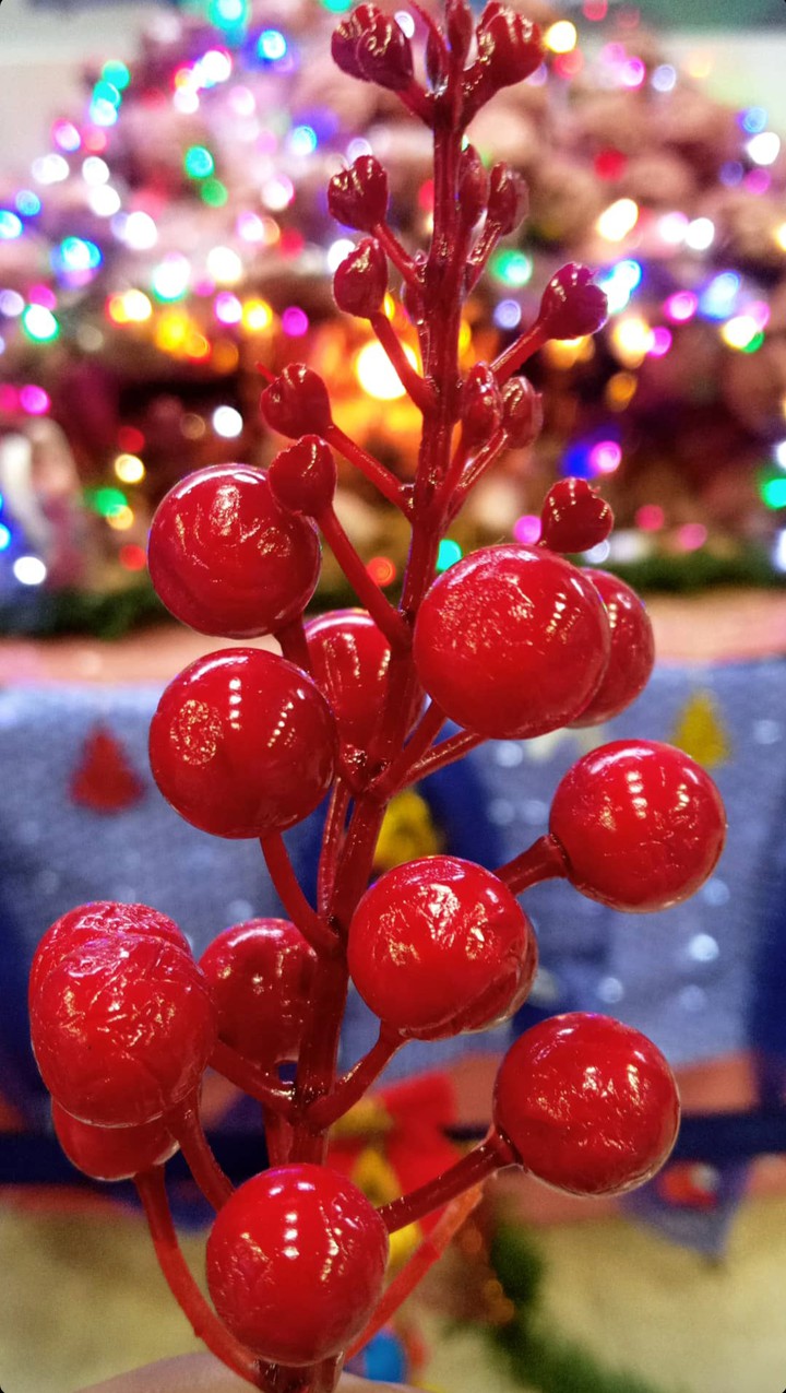 Christmas❤️