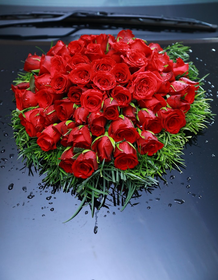 Rose for Ma Bae