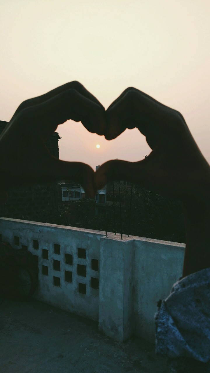 love