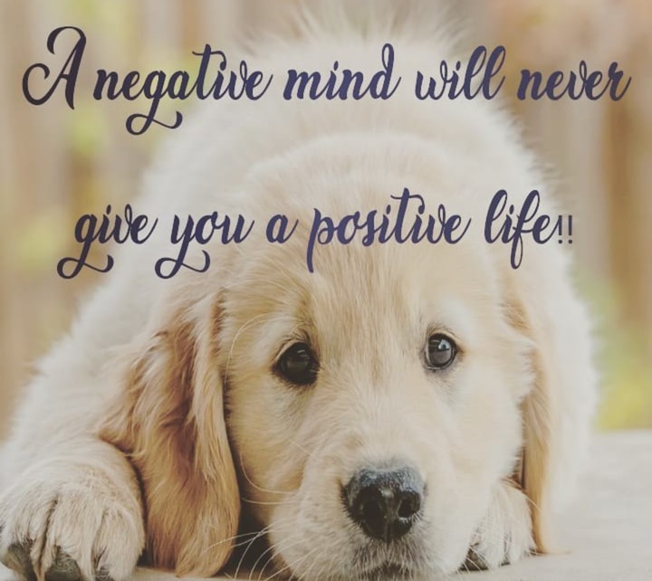 No Negative...