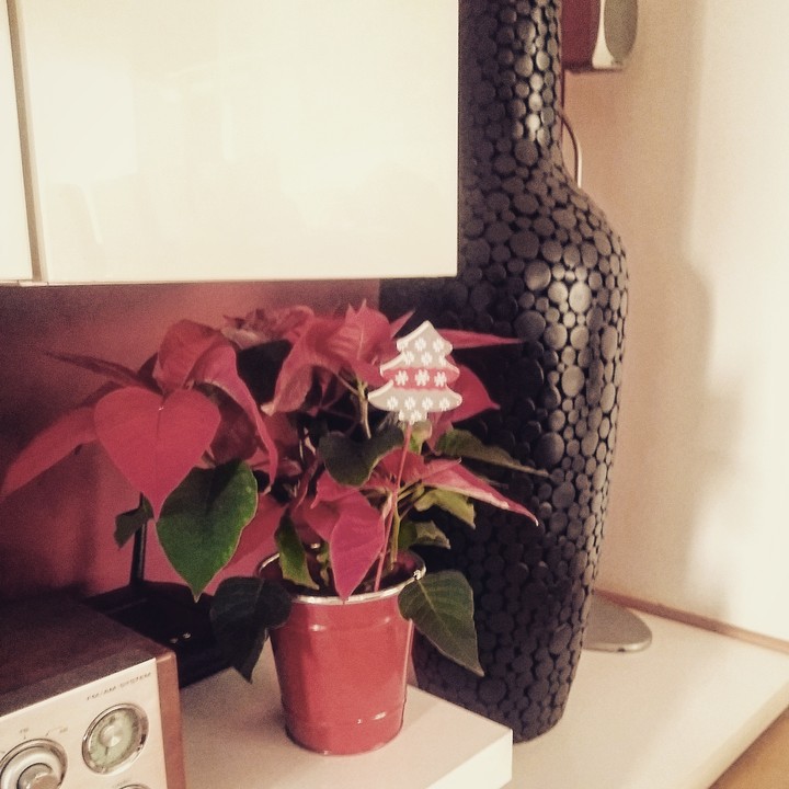 Athome