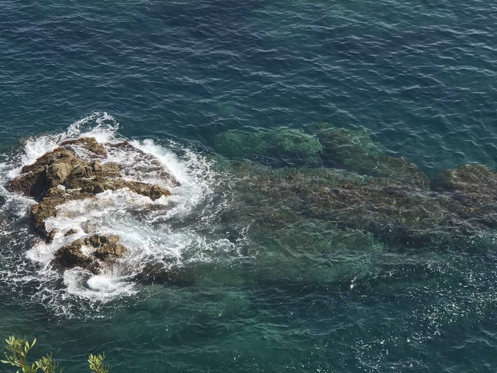 sea