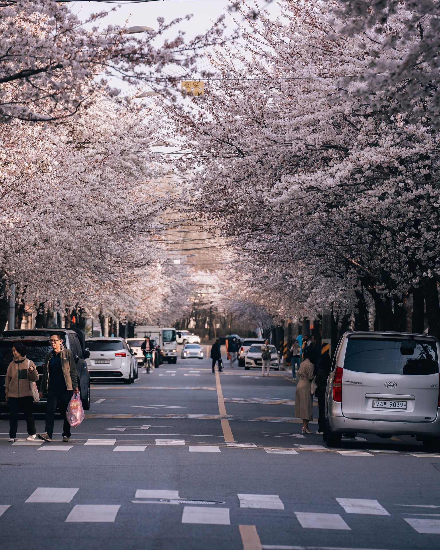 Thoroughfare, road duvar kağıtları