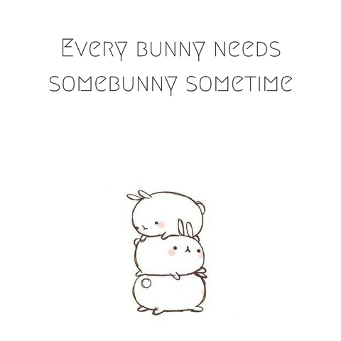 bunny