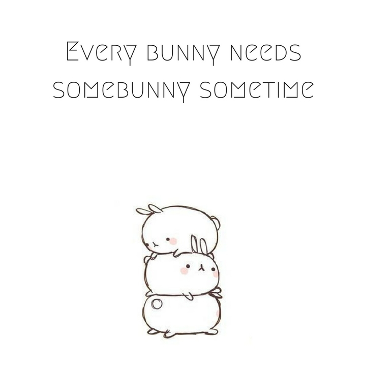 bunny