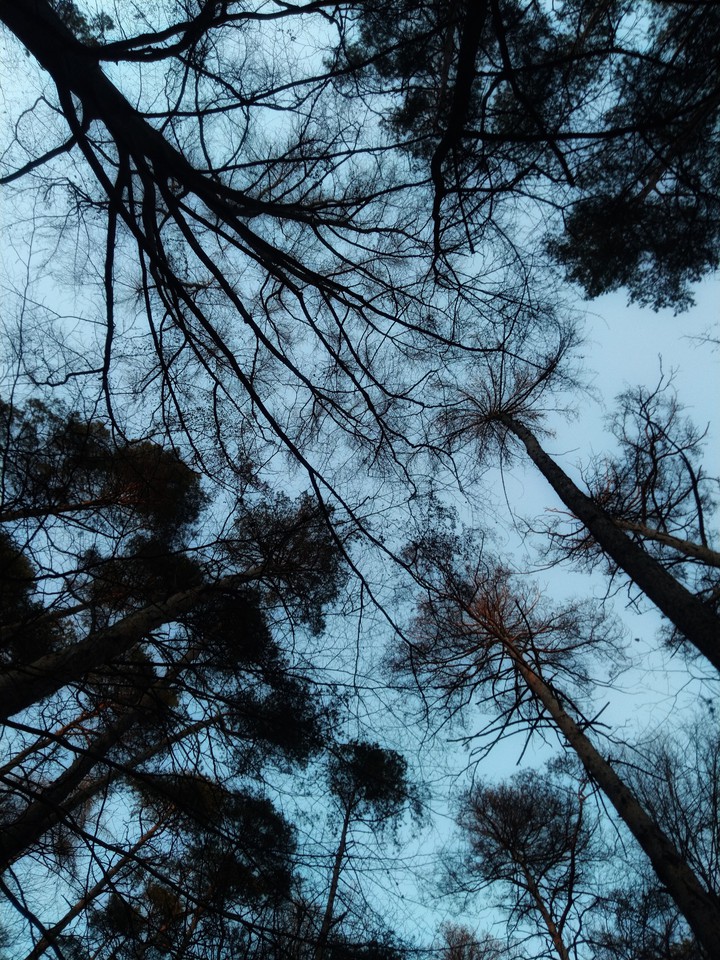 sky want to run away