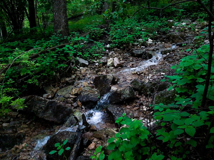 nature