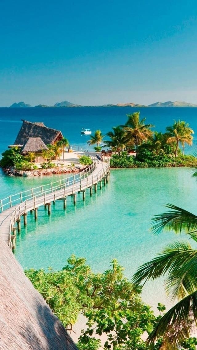 paradise