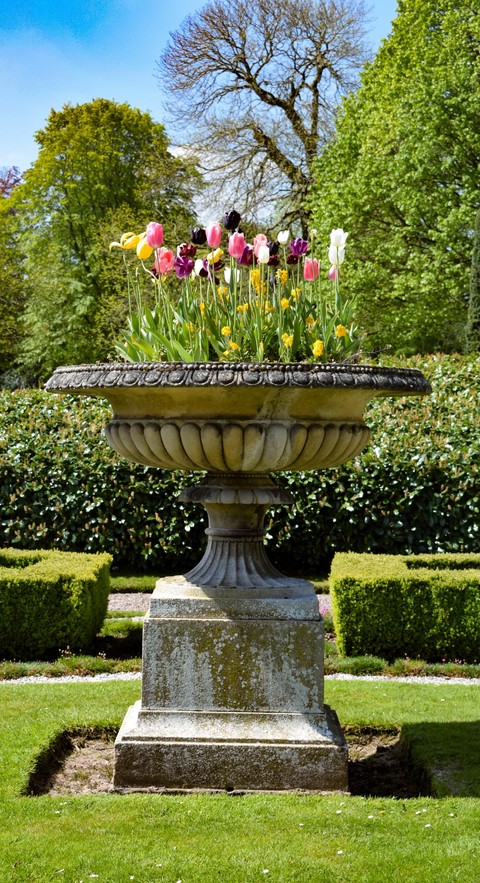 Ornamental