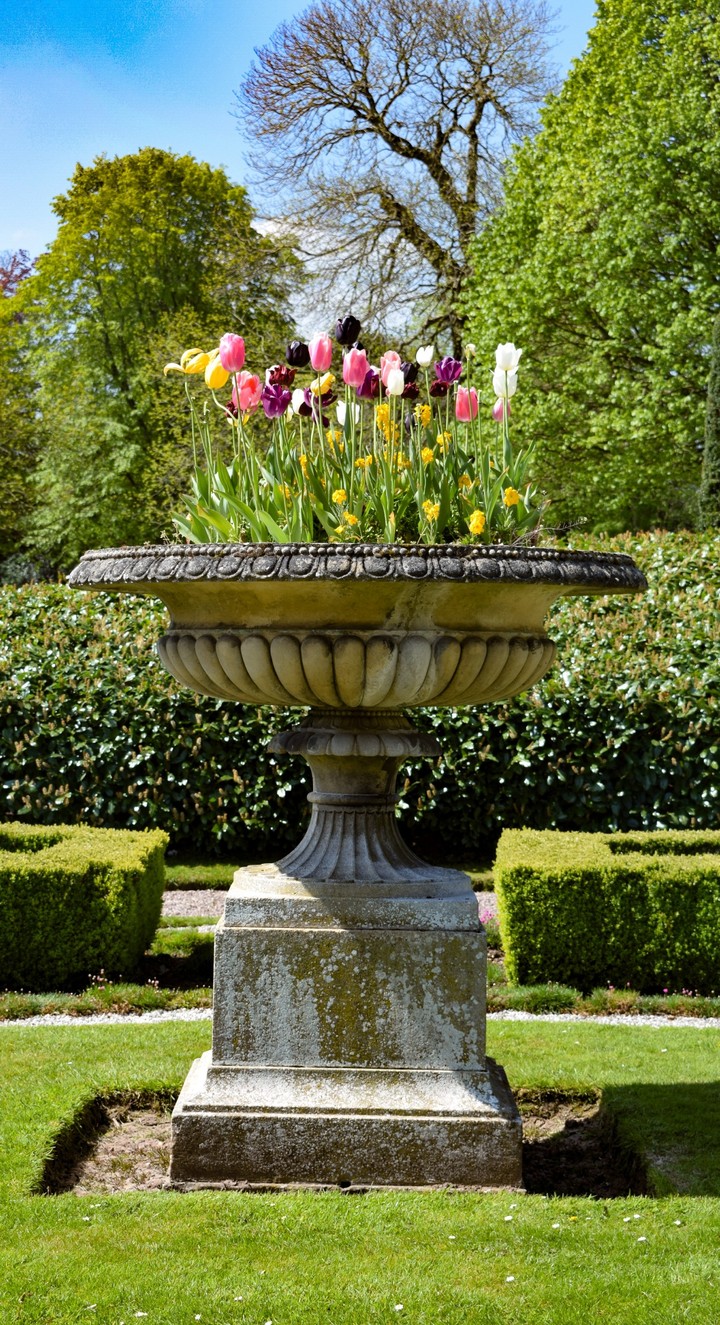 Ornamental