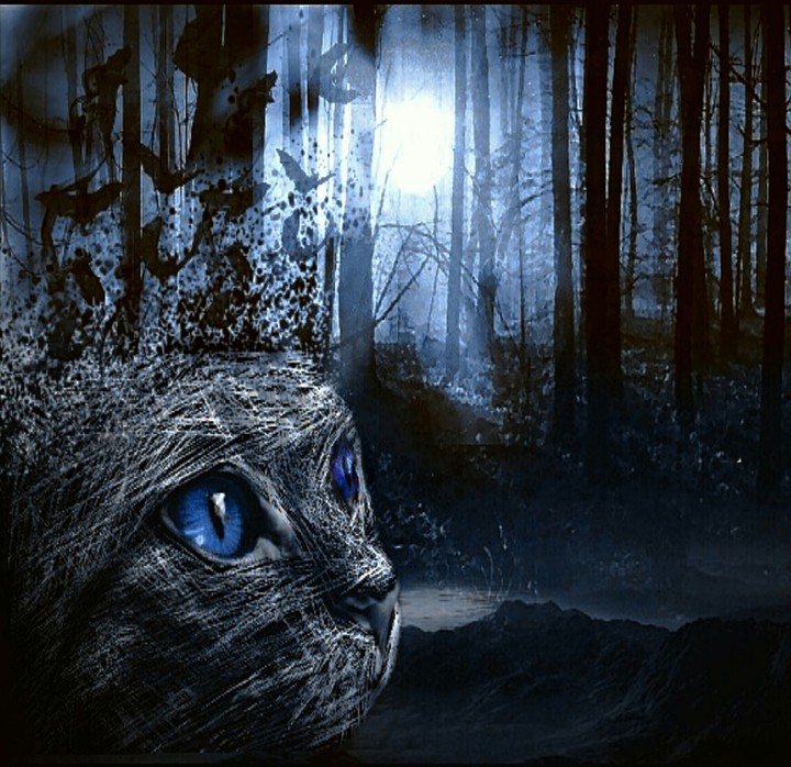 darkness