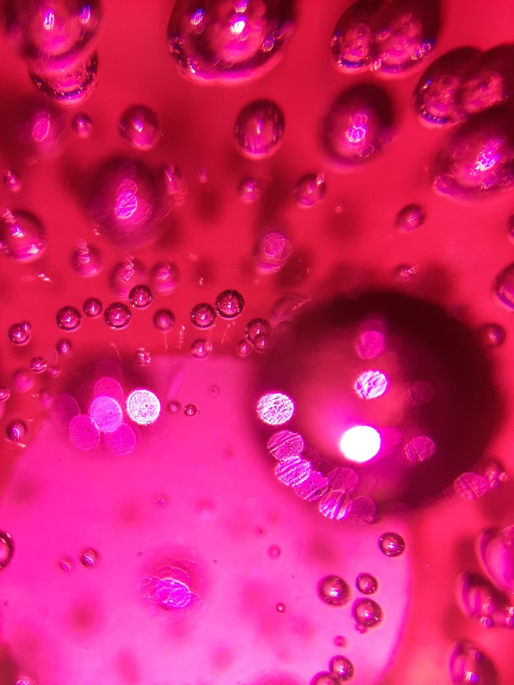 Bubble