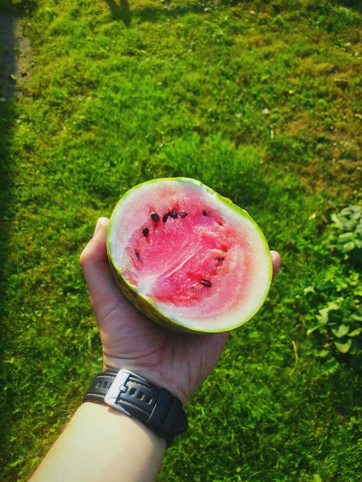 watermelon