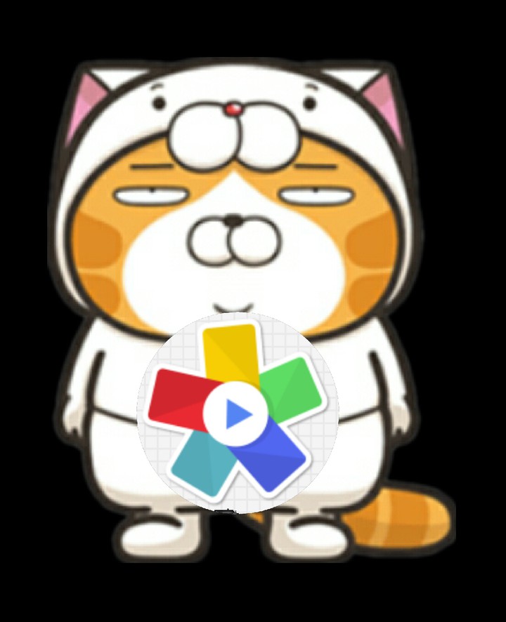 貓咪
