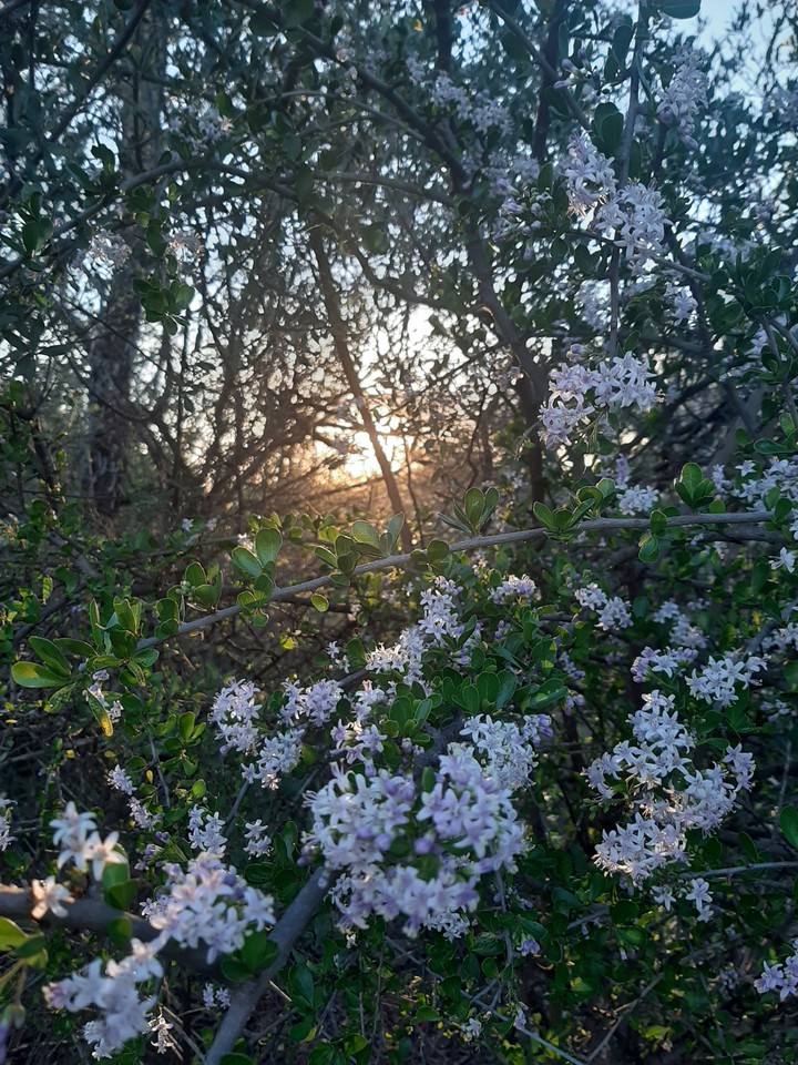 Sunlight shining