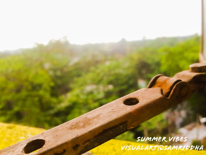 Summer vibes....