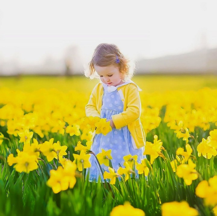 Spring in yellow ☀️