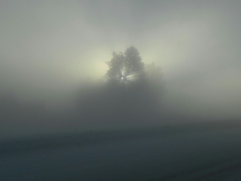 Somewhere there