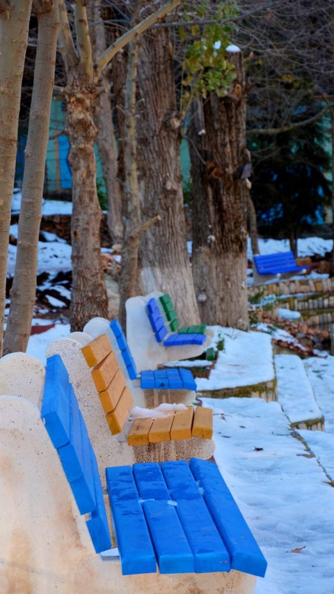 chaises