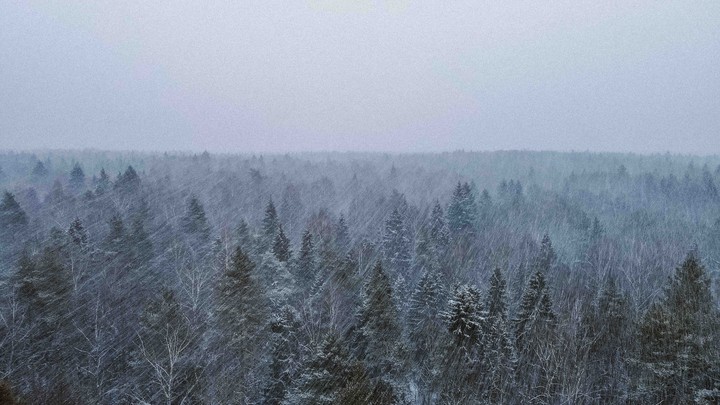 Snowfall