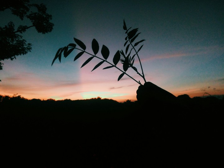 world best evening