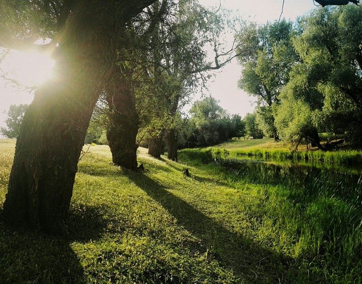 Zagyva river