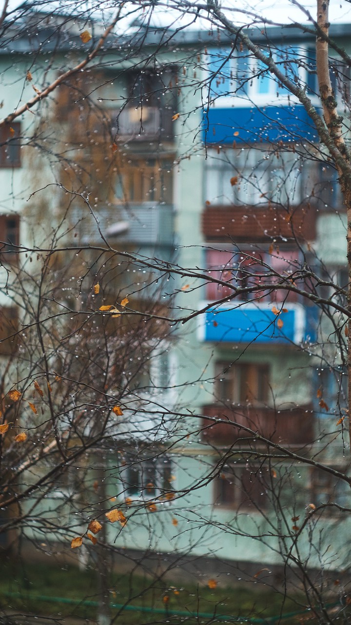 rain