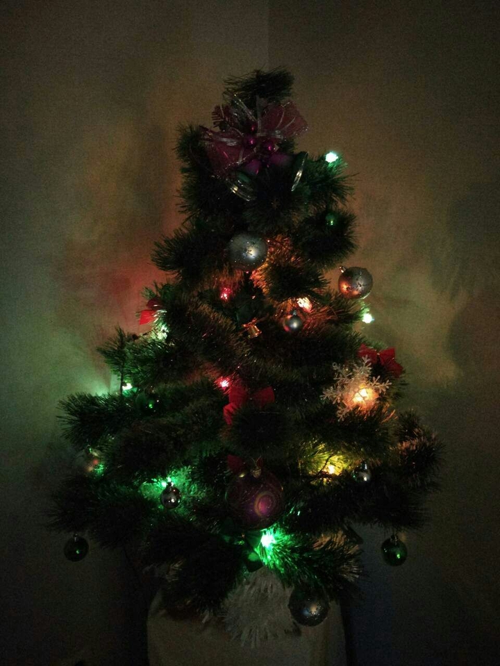 tree love