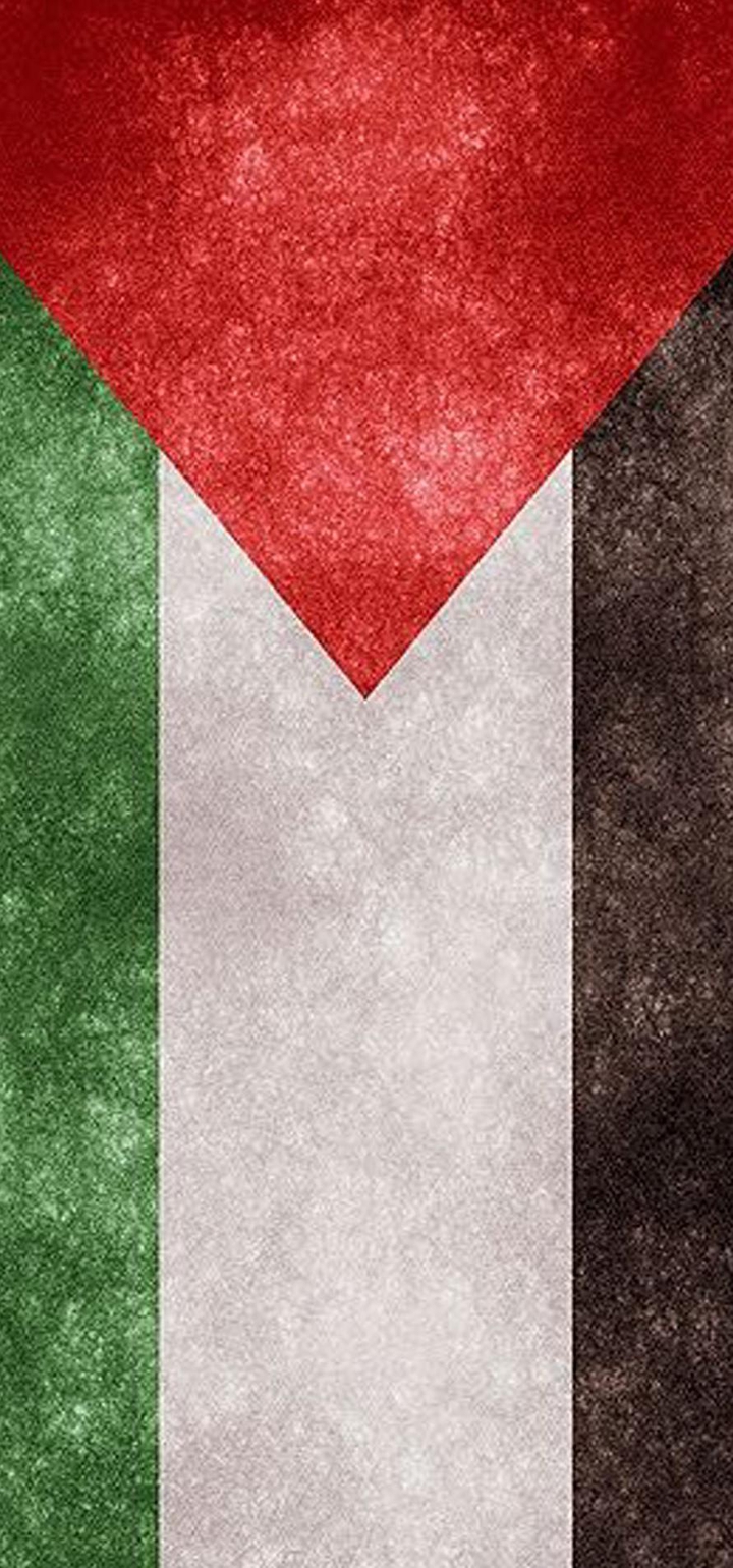 فلسطين في الدم