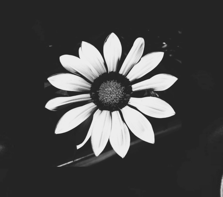 ⛅ flower