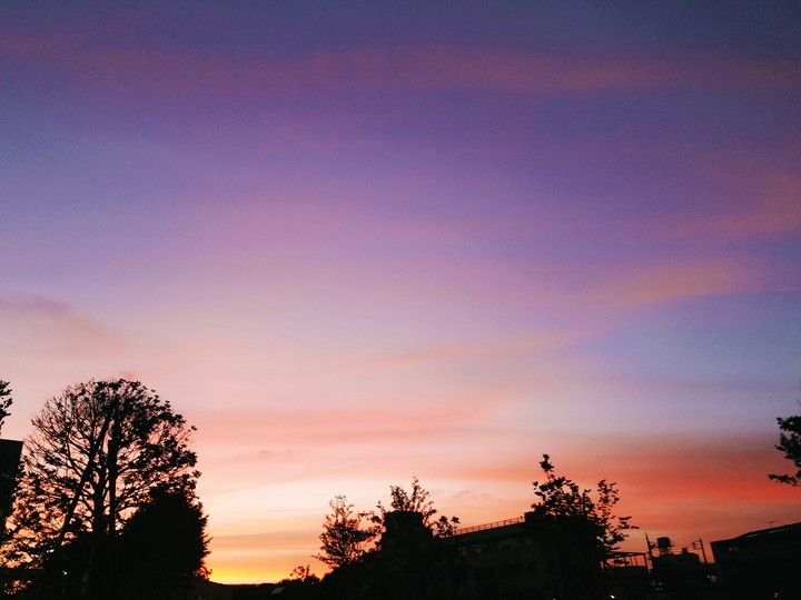 evening sun