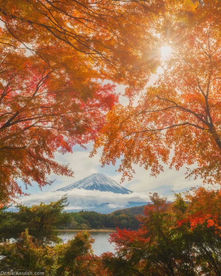 Autumn gone