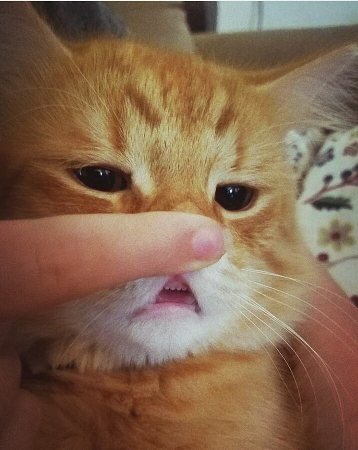?