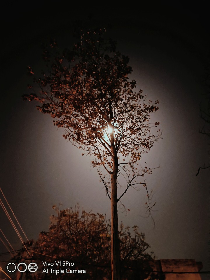 Moon shade