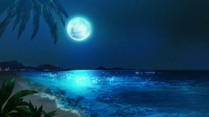 Moonlit night
