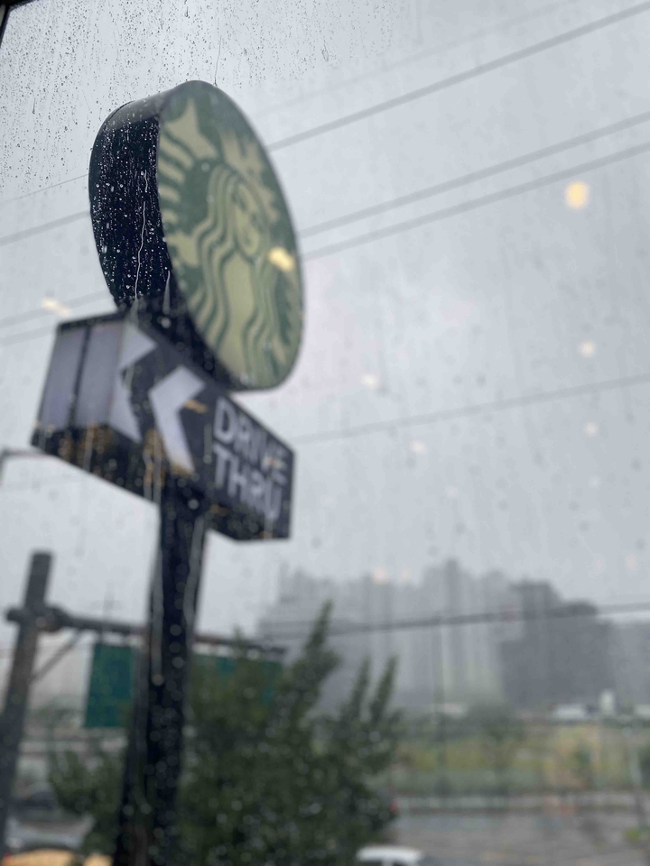 Rainy