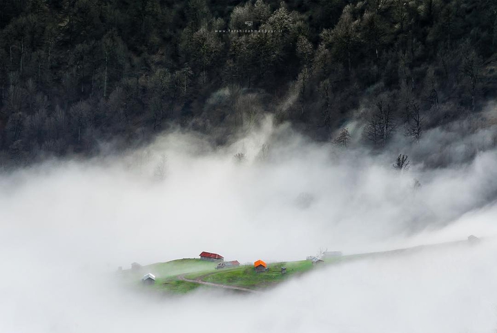 Masal Nature