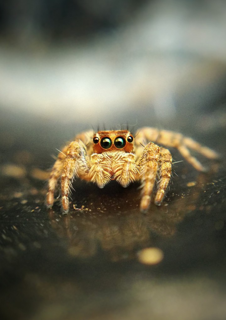 An Awesome poser