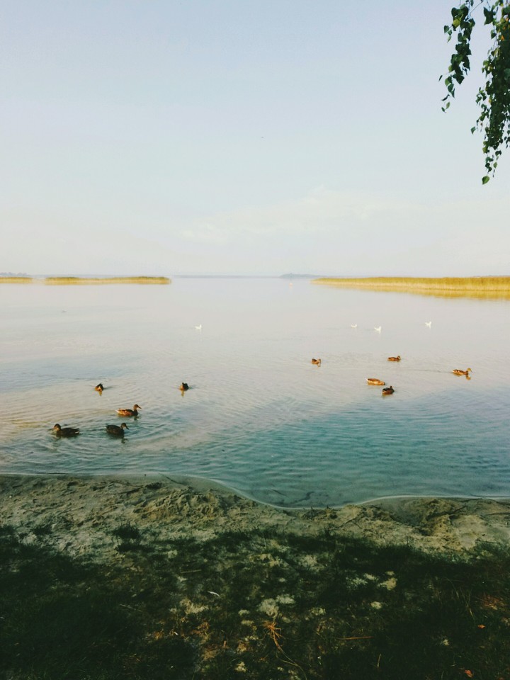lake