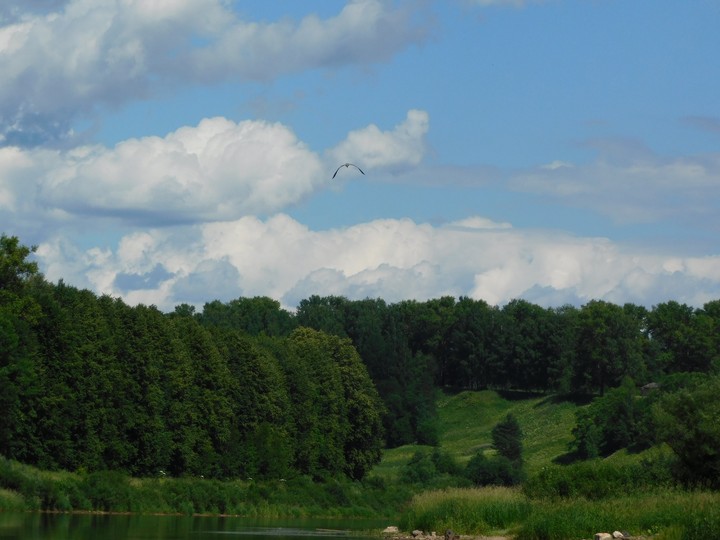 Полдень
