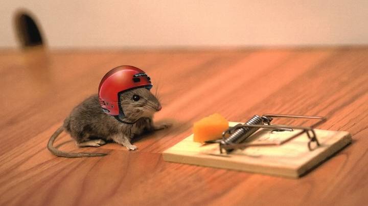 Ready to action