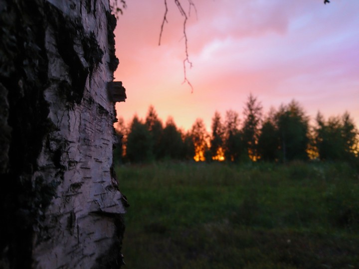 природа моя жизнь