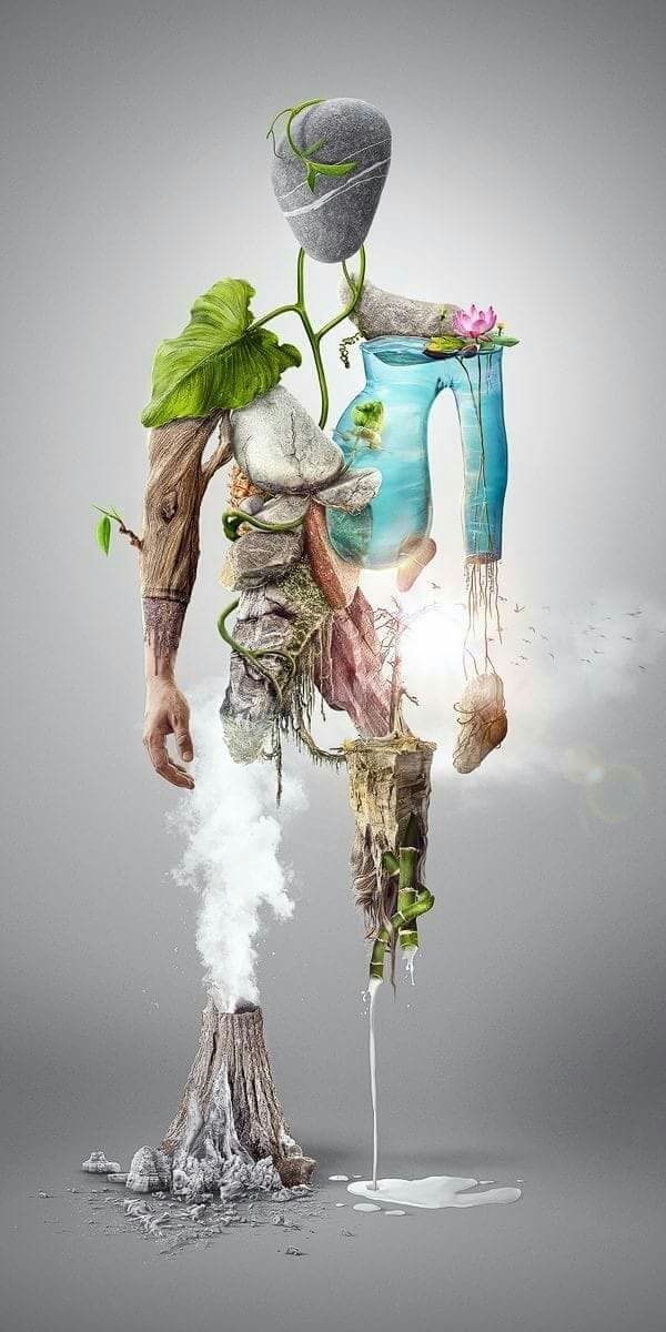 HUMAN BODY