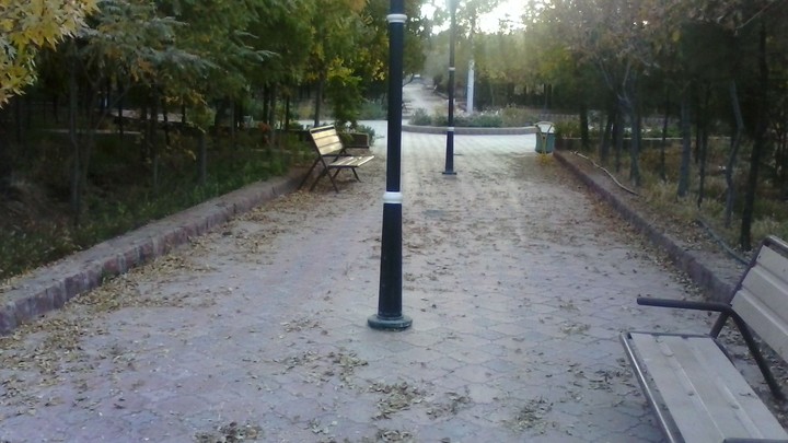 park